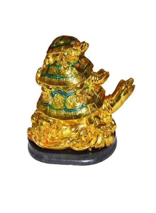 GJ Three Tortoise Multicolour - Image 2